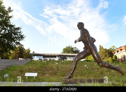 Losanna, Svizzera - 5 giugno 2017: Sculture al Parco Olimpico vicino al Museo Olimpico di Losanna, Svizzera Foto Stock