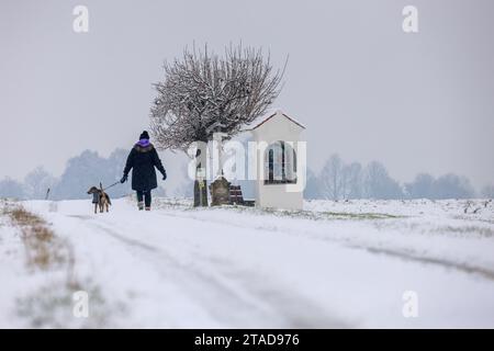 30 novembre 2023, Baden-Württemberg, Dürmentingen: Una donna cammina il suo cane nella neve foto: Thomas Warnack/dpa Foto Stock
