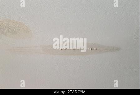 Perdite d'acqua dal soffitto del muro a secco nella stanza di casa, danni causati dall'acqua. Gocciolamento d'acqua dovuto a crepe. Foto Stock