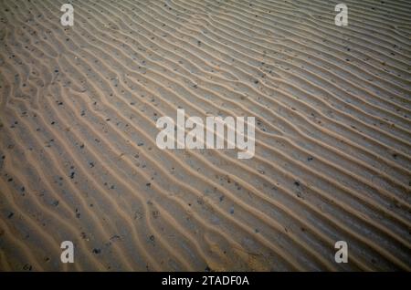 Ondulazioni di sabbia, linee ondulate nella sabbia. Lugworm (Arenicola marina), pila di lugworm, Mare di Wadden, Munkmarsch, Isola di Sylt nel Mare del Nord, Frisia settentrionale Foto Stock