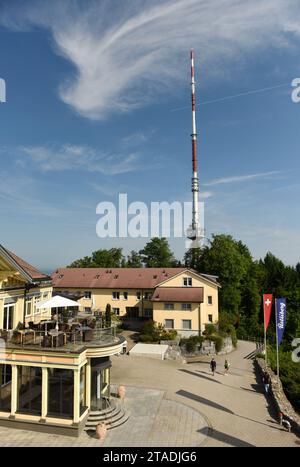 Zurigo, Svizzera - 3 giugno 2017: Uetliberg TV Tower a Zurigo, Svizzera. Foto Stock