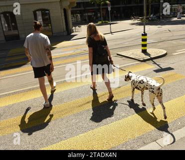 Zurigo, Svizzera - 3 giugno 2017: Persone con cane in attraversamento zebra a Zurigo. Vita quotidiana a Zurigo. Foto Stock