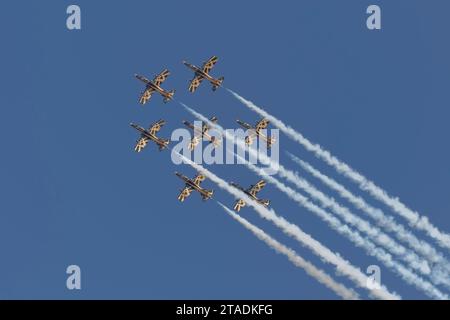 Al Fursan al Dubai Air Show 2023 a Dubai, Emirati Arabi Uniti Foto Stock