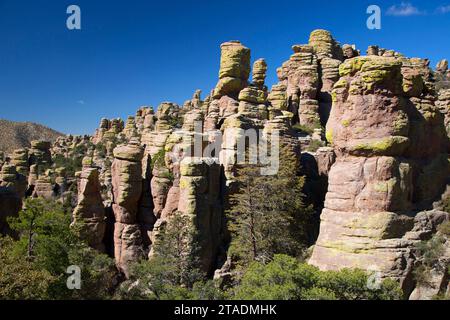 Pinnacoli di roccia da Echo Canyon Loop Trail, Chiricahua National Monument in Arizona Foto Stock