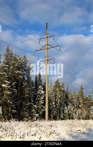 Leningrado, Russia. 19 novembre 2023. La linea elettrica continuò a funzionare nonostante le forti nevicate nella regione di Leningrado, nella Federazione Russa. (Immagine di credito: © Maksim Konstantinov/SOPA Images via ZUMA Press Wire) SOLO USO EDITORIALE! Non per USO commerciale! Foto Stock