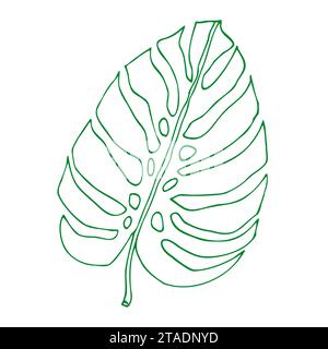 Monstera delinea foglie tropicali, elemento di design vegetale foglie di Monstera, pianta della giungla. Leaf monstera line art per colorare libri, logo o album d Illustrazione Vettoriale