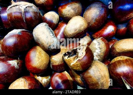 una grande quantità di castagne colorate appena raccolte si trova in un'immagine ravvicinata Foto Stock