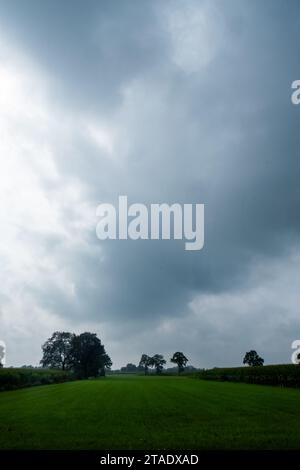 Un'incredibile ripresa verticale che presenta un netto contrasto tra il cielo scuro e pesante e il verde vivace dei campi sottostanti. Il punto centrale dell'immagine è la linea di alberi in piedi risoluti contro il potere della tempesta invadente. La prospettiva fornita dai campi che si estendono all'orizzonte dà un senso di profondità e scala, sottolineando la presenza travolgente delle nuvole di tempesta. Questa immagine racchiude la bellezza solitaria della natura, con gli alberi che fungono da sentinelle silenziose in attesa dell'arrivo della tempesta. Maestosità monocromatica: Cieli tempestosi su campi lussureggianti. Foto di alta qualità Foto Stock