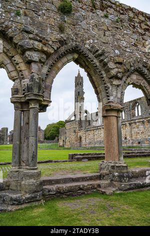 Ammira attraverso l'arco di navigazione e West Gable le rovine della cattedrale di St Andrews nel Royal Burgh di St Andrews a Fife, Scozia, Regno Unito Foto Stock