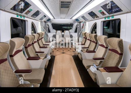 Doha, Qatar, 31 ottobre 2023. Una carrozza di classe oro sulla metropolitana di Doha Foto Stock