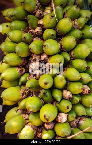 Schemi naturali molto ravvicinati ripetitivi di Attalea phalerata, palma, urucuri, urucurizeiro, frutta shapaja confezionata insieme Foto Stock