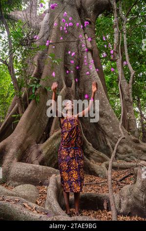 Senegal, Casamance, Cap Skirring area, f Diola donna con abiti tradizionali Foto Stock
