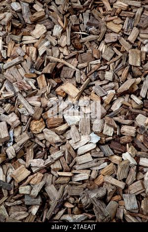 Sfondo di trucioli di legno sul terreno Foto Stock