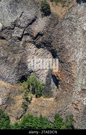 Francia, alta Loira, Arlempdes, i più bei villaggi della Francia, organi basaltici che si affacciano sulle gole della Loira Foto Stock