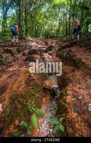 Francia, Guyana francese, Rémire-Montjoly, escursionisti sul sentiero Rorota Foto Stock