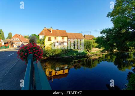 Francia, Bas Rhin, il Ried, Muttersholtz, capitale francese della biodiversità, fiume Ill Foto Stock