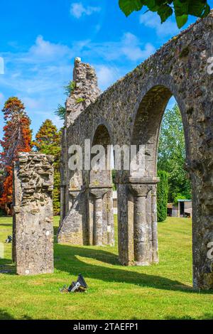 Francia, Manche, Cotentin, Bricquebec, resti dell'ex chiesa di Notre-Dame Foto Stock