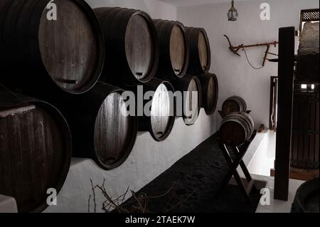 Casa Museo del Campesino (Casa museo del contadino) progettata da César Manrique a Lanzarote, Isole Canarie in Spagna Foto Stock