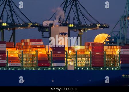 Gru a cavalletto e container impilati su una nave container ancorata al terminal container nel porto di Anversa, Fiandre, Belgio Foto Stock