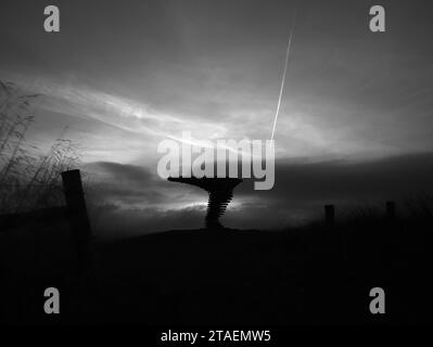 L'albero che canta suonava ha centrato l'attenzione con le nuvole e il percorso delle nuvole della compagnia aerea sullo sfondo con i pali di recinzione su entrambi i lati in primo piano. Foto Stock