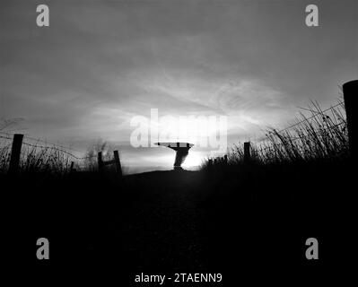 L'albero canora ha catturato la posizione centrale all'alba tra i pali della recinzione in bianco e nero. Foto Stock