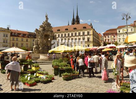 Brno, Repubblica Ceca - 1 giugno 2017: Piazza del mercato dei cavoli a Brno, Repubblica Ceca. Foto Stock