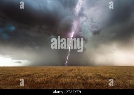 Un fulmine di temporale colpisce un campo vicino a Lamesa, Texas Foto Stock