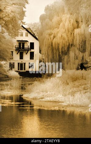 Ellingham mill norfolk Inghilterra Foto Stock