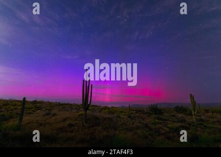 Rara aurora boreale o aurora boreale nel cielo notturno sul deserto di Sonora vicino a Phoenix, Arizona Foto Stock