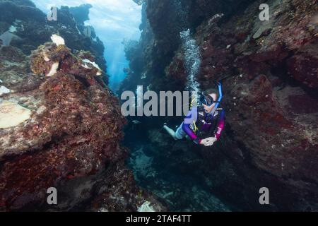 Una pinna subacquea attraverso un canyon sottomarino alle Red Bay Caves a Grand Cayman, ispezionando coralli e la vita della barriera corallina sulle pareti. Foto Stock