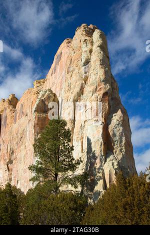 Iscrizione Rock dall'iscrizione Rock Trail, El Morro monumento nazionale, Nuovo Messico Foto Stock