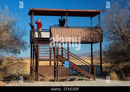 Torre di osservazione, Bernardo Wildlife Management area, New Mexico Foto Stock