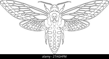 Farfalla falco falco testa di morte, acerontia atropos da contorno nero curve linee su sfondo bianco. Illustrazione vettoriale. Illustrazione Vettoriale