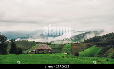 Splendida vista panoramica sul campo di risaie terrazzate e sulla casa. Vista aerea della terrazza di riso al Ban pa bong piang a Chiang mai, Thailandia. Terrazzato ri Foto Stock