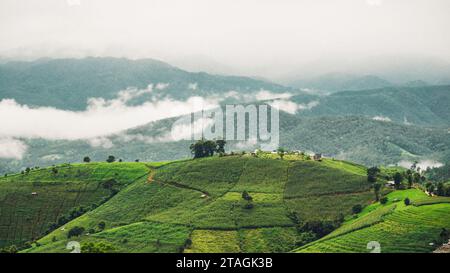 Splendida vista panoramica sul campo di risaie terrazzate e sulla casa. Vista aerea della terrazza di riso al Ban pa bong piang a Chiang mai, Thailandia. Terrazzato ri Foto Stock