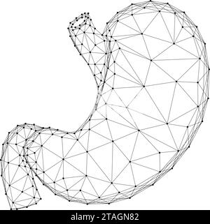 Stomaco umano, un organo anatomico digestivo da linee nere poligonali astratte futuristiche e punti. Illustrazione vettoriale. Illustrazione Vettoriale