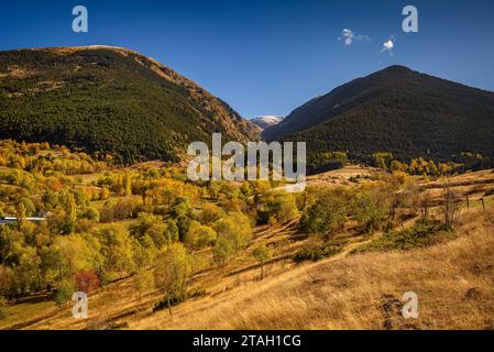 Foreste dai colori autunnali all'inizio della valle dell'Eyne (Haute Cerdagne, Pyrénées-Orientales, Occitania, Francia, Pirenei) Foto Stock