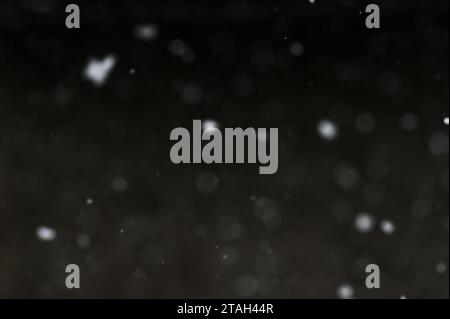 Bokeh di neve bianca su sfondo nero. Snowfall - nuovo elemento di design. Foto Stock