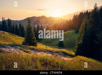 Splendida alba luminosa con il sole splendente, la vetta delle montagne con abete rosso della foresta ad Almaty, Kazakistan. Attività all'aperto ed escursioni Foto Stock