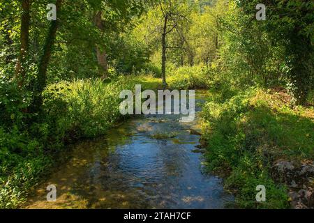 Un piccolo ruscello che passa attraverso il villaggio di Martin Brod, Bihac, nel Parco Nazionale di una. Una-sana Canton, Federazione di Bosnia-Erzegovina. Inizio settembre Foto Stock
