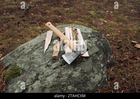 ascia e legno tagliato su una roccia nella foresta Foto Stock