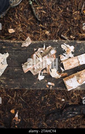 abbaiare da un albero pronto a dare fuoco Foto Stock