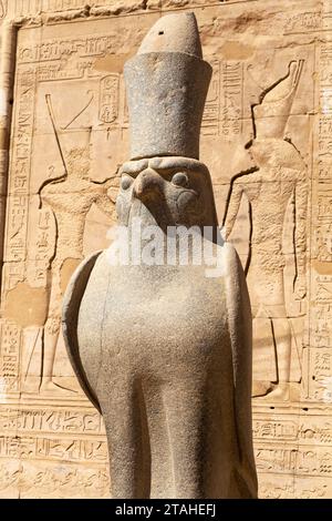 Statua di Horus con parete ricoperta di geroglifici, Tempio di Edfu Foto Stock