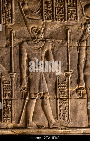 Antichi geroglifici egiziani scolpiti sulla parete dorata del Tempio di Edfu Foto Stock