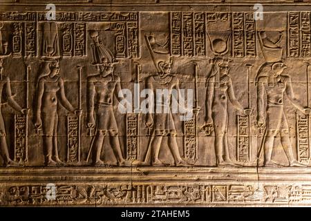 Antichi geroglifici egiziani scolpiti sulla parete dorata del Tempio di Edfu Foto Stock