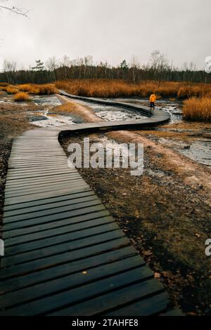 Sentiero in legno tra paludi e terra fumante, Frantiskovy Lazne, SOOS Foto Stock