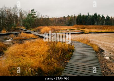 Sentiero in legno tra paludi e terra fumante, Frantiskovy Lazne, SOOS Foto Stock