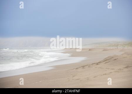 Una spiaggia al Point Reyes National Seashore Foto Stock