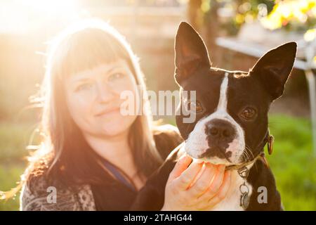 Happy Woman Backlit, in allerta Boston Terrier Foto Stock