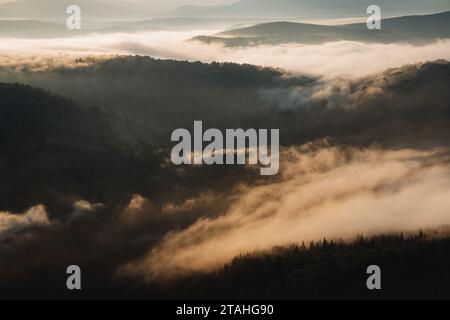 La nebbia mattutina si diffonde sulle cime della foresta, l'alba sulle montagne Foto Stock